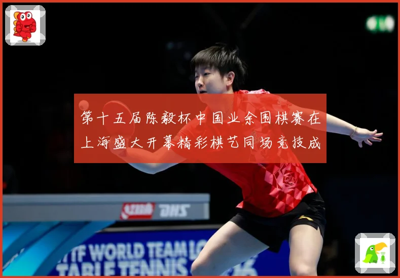 第十五届陈毅杯中国业余围棋赛在上海盛大开幕精彩棋艺同场竞技成长观察：最新赛事动态与深度分析